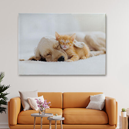 Harita Sepeti Golden Köpek İle Uyuyan Yavru Kedi Dekoratif Kanvas Tablo 1176