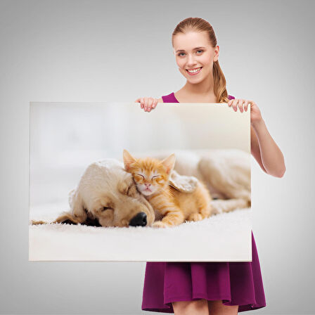 Harita Sepeti Golden Köpek İle Uyuyan Yavru Kedi Dekoratif Kanvas Tablo 1176