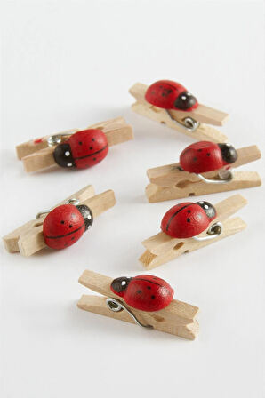 1 Adet Uğur Böceği Süs Mandal