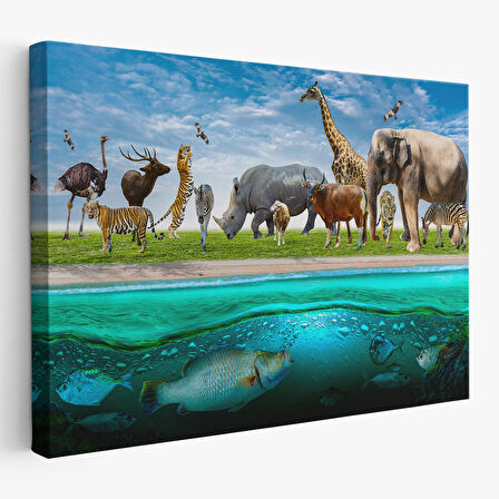 Harita Sepeti Hayvanlar Alemi Dekoratif Kanvas Tablo 1177