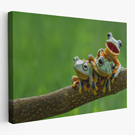 Harita Sepeti Küçük Kurbağalar Dekoratif Kanvas Tablo 1179