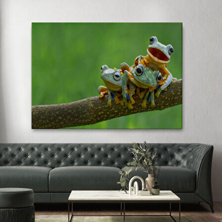 Harita Sepeti Küçük Kurbağalar Dekoratif Kanvas Tablo 1179