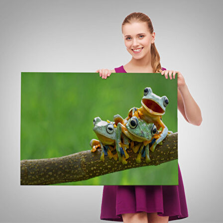 Harita Sepeti Küçük Kurbağalar Dekoratif Kanvas Tablo 1179