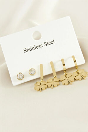 6 Adet Yonca Zirkon Taşlı Lüks Çelik Küpe