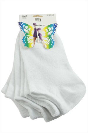 3 Çift Beyaz Renkli Snekars Çorap