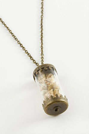 Deniz Kabuğu Fanus Canlı Kolye