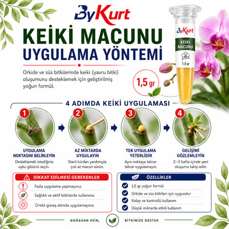 Orkide Keiki Macunu Yavru Bitki Oluşumu Destekleyici Konsantre Formül 1,5 G