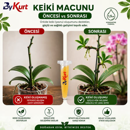 Orkide Keiki Macunu Yavru Bitki Oluşumu Destekleyici Konsantre Formül 1,5 G