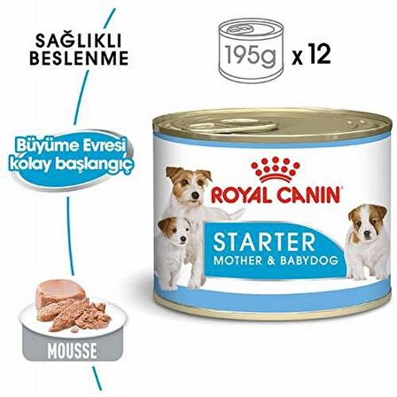 Royal Canin Kuzu Etli Küçük Irk Yetişkin Yaş Köpek Maması 6x195 gr