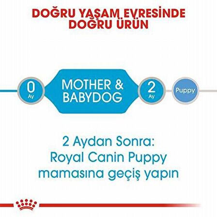 Royal Canin Kuzu Etli Küçük Irk Yetişkin Yaş Köpek Maması 6x195 gr