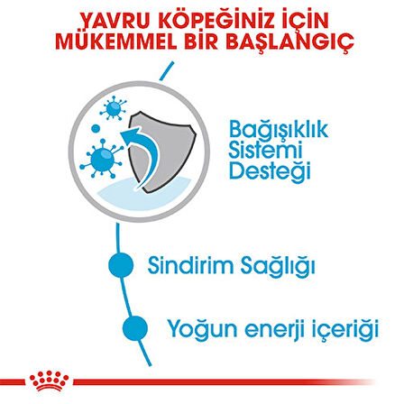 Royal Canin Mini Puppy Pouch Yavru Köpek Konservesi 6 Adet X 85 Gr 