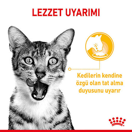 Royal Canin Sensory Taste Gravy Adult Yetişkin Kedi Konservesi 6 Adet 85 Gr 