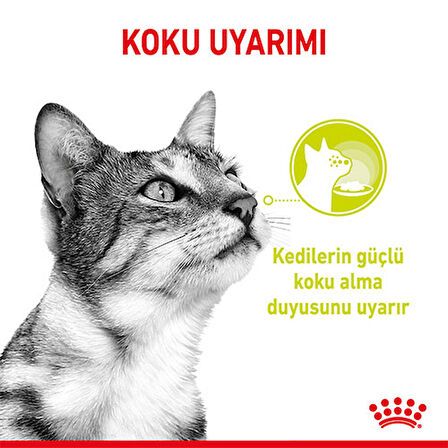 Royal Canin Sensory Smell Gravy Adult Yetişkin Kedi Konservesi 6 Adet 85 Gr 