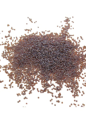 Koyu Kahverengi1 (11/0) 2 mm Kum Boncuğu 100 gr