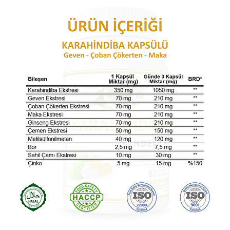 Karahindiba Kapsül (DANDELİON CAPSULE)