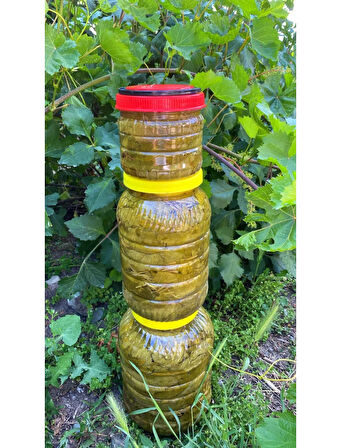 Tokat Salamura Asma Yaprağı 3 kg.