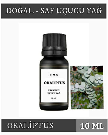 OKALİPTUS Uçucu Yağ Buhurdanlık Esansı Oda Kokusu DİFÜZÖR Uçucu Esansiyel Yağ Buhur Yağı 10 ML.