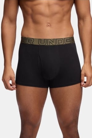 Under Armour Performance 3 Pack Erkek Boxer 1383891-005