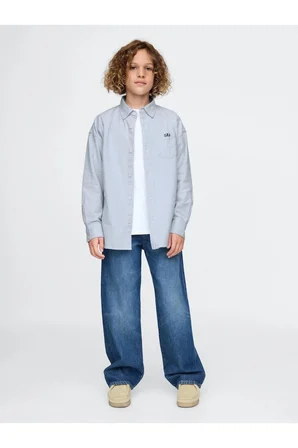 Mavi Erkek GAP FRCH LOGO OXFORD GOMLEK Model Kodu: 605359001MAVİ