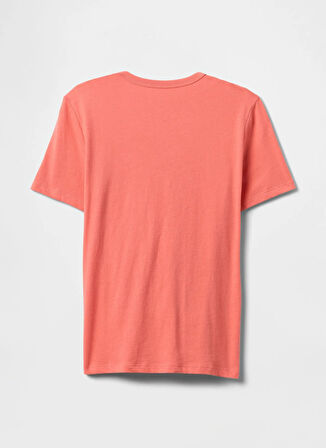 Gap Baskılı Nar Çiçeği Erkek Çocuk T-Shirt 708411002