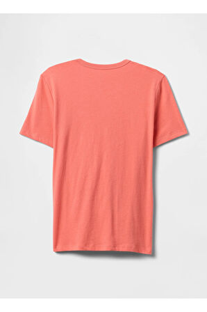 Baskılı Nar Çiçeği Erkek Çocuk T-Shirt 708411002
