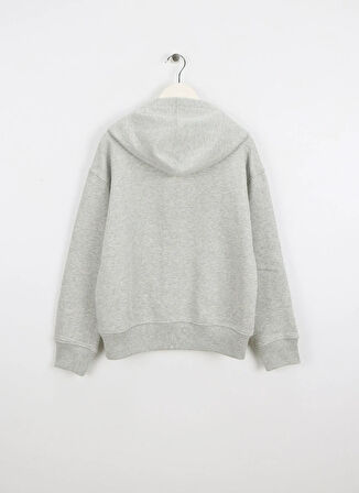 Gap Baskılı Erkek Çocuk Gri Sweatshırt 609295000