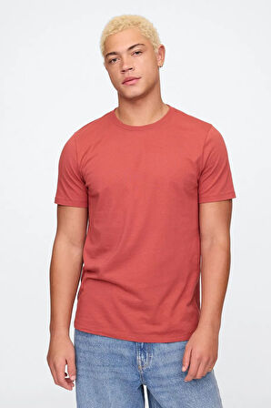 Gap V-Everyday Soft Erkek Tişört