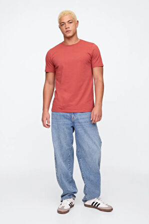 Gap V-Everyday Soft Erkek Tişört
