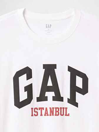 GAP 745261000 V-Frch Gap İstanbul T Erkek Tişört