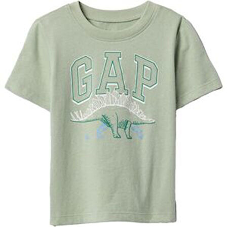 GAP Erkek Çocuk Logolu Yeşil Tişört 703642008