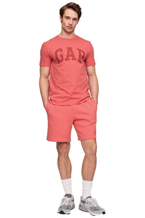 Gap V-Everyday Soft Erkek Tişört