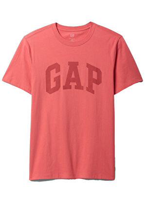 Gap V-Everyday Soft Erkek Tişört