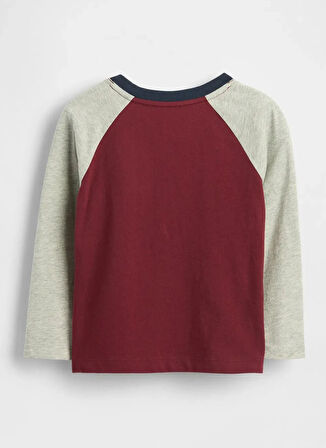 Gap Baskılı Kırmızı Erkek Çocuk T-Shirt 822094003