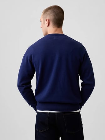 GAP V-INTX GAP ATHLETIC INTARSIA SWEATER KAZAK 910050000 LACİVERT