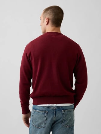 GAP V-INTX GAP ATHLETIC INTARSIA SWEATER KAZAK 910050003 BORDO