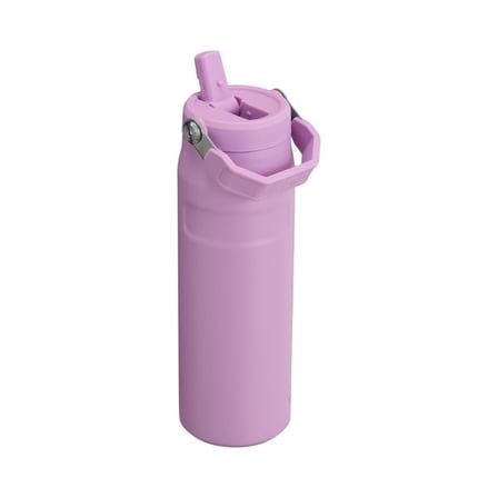 Stanley The IceFlow Aerolight Flip Straw 2.0 Pipetli Termos Su Şişesi 0.7 Lt Lila -1200185008382