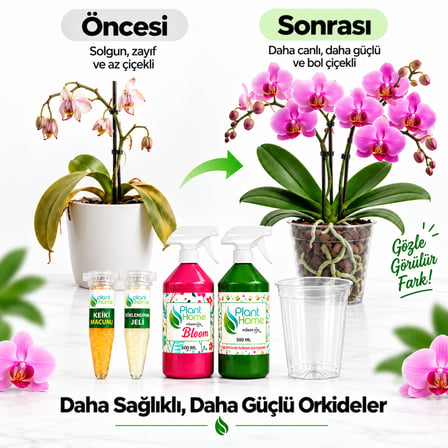Orkide Bakım Seti Saksı Keiki Macunu Köklendirme Jeli Power Mix Bloom 5 Parça