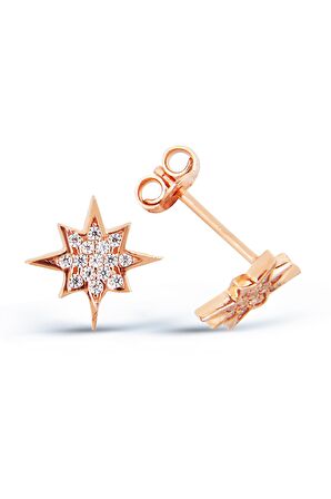 Zirkon Taşlı 925 Ayar Gümüş Kutup Yıldızı Küpe - K038601