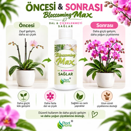 Blossoming Max Bitki Besini Dal Çiçeklenme Gelişim Desteği 200 ml