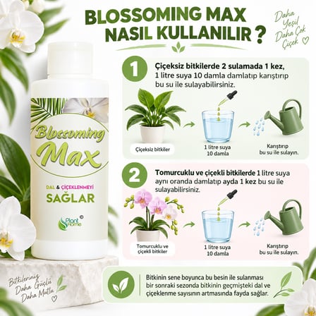 Blossoming Max Bitki Besini Dal Çiçeklenme Gelişim Desteği 200 ml
