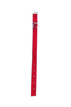 Kırmızı Dayanıklı Dokuma Köpek Tasması 30 cm