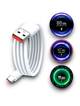 Kesintisiz Şarj İçin 120W Turbo Hızlı Şarj Aleti ve Kablosu