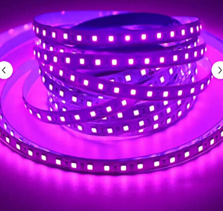 120 Ledli Mor Işık Şerit Led 5 Metre 60 Watt Mor 12 Volt