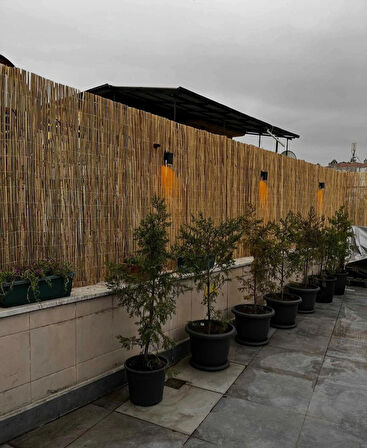 1,20 Metre X 2,50 Metre Kamış Hasır Balkon Çiti Gölgelik Bahçe Çiti Dekorasyon