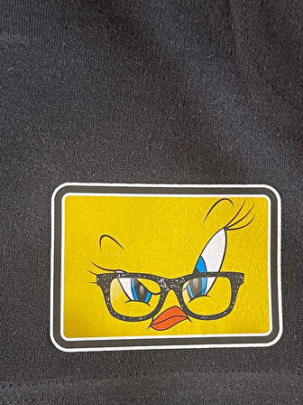 12X9 CM ÜTÜ İLE YAPIŞAN İKİLİ TWEETY SARI KUŞ BASKI ARMA APLİKE TİŞÖRT BASKI