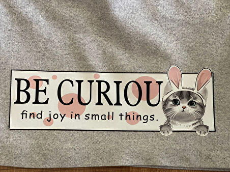 23X6 CM ÜTÜ İLE YAPIŞAN KEDİLİ YAZI BASKI APLİE ARMA DİKİŞ HOBİ TİŞÖRT BASKI