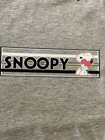 18X5 CM ÜTÜ İLE YAPIŞAN SNOPY TRANSFER BASKI APLİKE ARMA YAMA DİKİŞ HOBİ