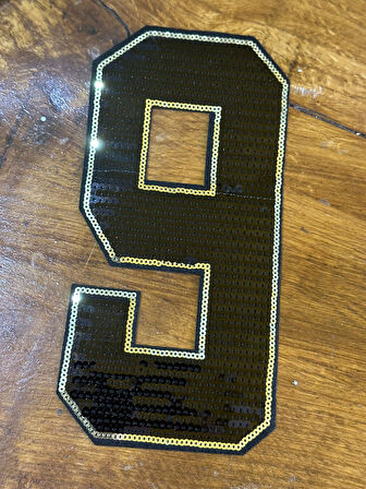 22X11 CM ÜTÜ İLE YAPIŞAN PUL PAYETLİ 6 VEYA9 RAKAMI DİKİŞ GİYİM APLİK