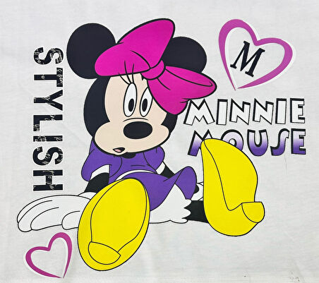 ÜTÜ İLE YAPIŞAN FARE TRANSFER BASKI ARMA 26X26 CM