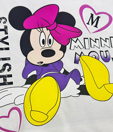 ÜTÜ İLE YAPIŞAN FARE TRANSFER BASKI ARMA 26X26 CM